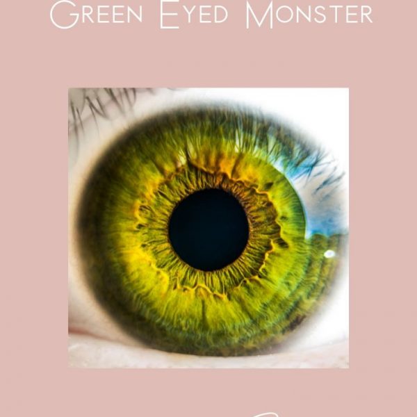 Copy of Shanda Fulbright Pinterest Templates 2 600x600 - Green Eyed Monster